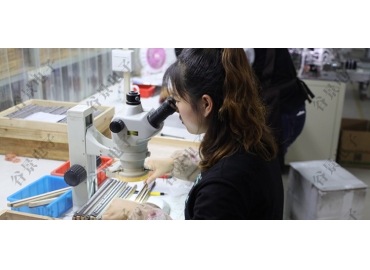 貼片共模電感方向如何區(qū)分你知道嗎？